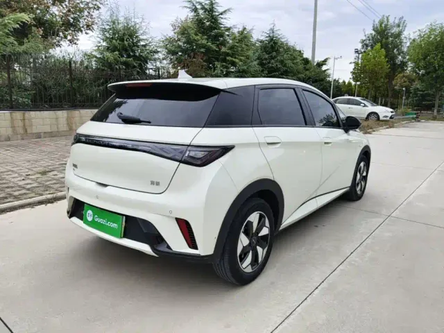BYD Dolphin — Фото автомобиля 6