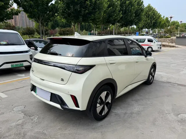 BYD Dolphin — Фото автомобиля 9