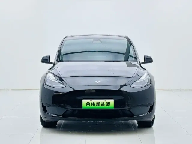 Tesla Model Y — Фото автомобиля 2
