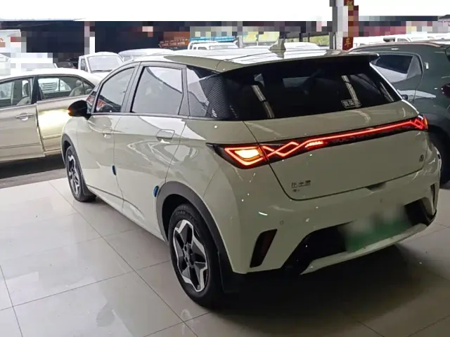 BYD Dolphin — Фото автомобиля 4