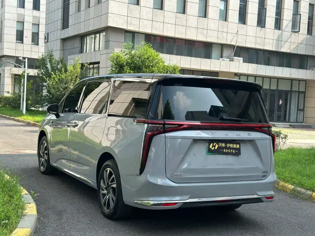 Maxus Dajia 9 — Фото автомобиля 4