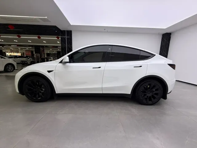 Tesla Model Y — Фото автомобиля 5
