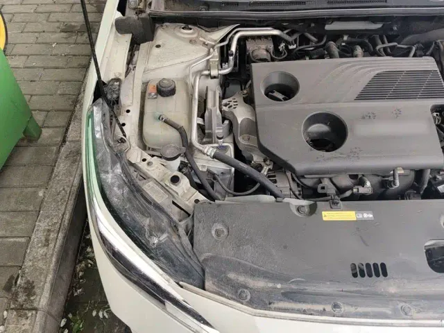 Nissan Sylphy — Фото автомобиля 18