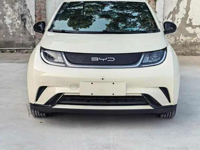 Фотография автомобиля — BYD Dolphin