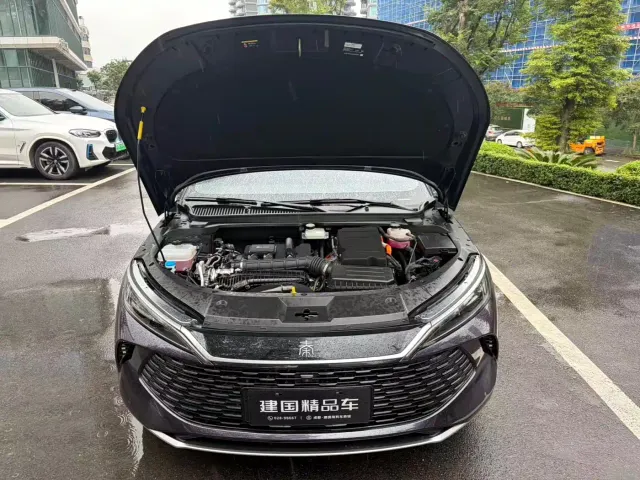 BYD Qin L — Фото автомобиля 20