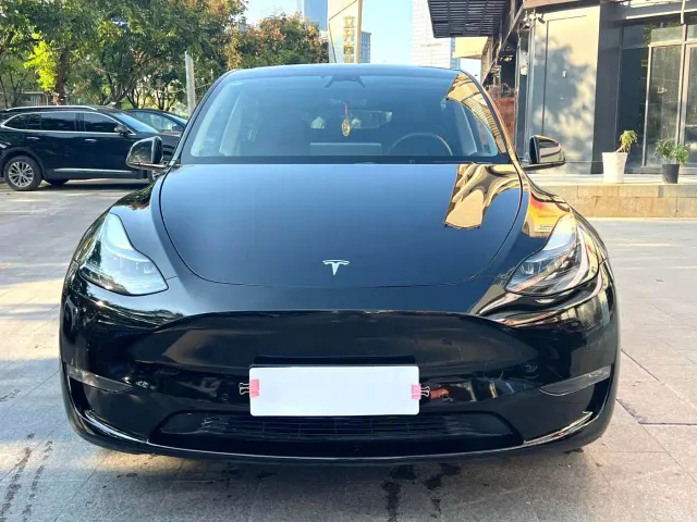 Tesla Model Y — Фото автомобиля 2