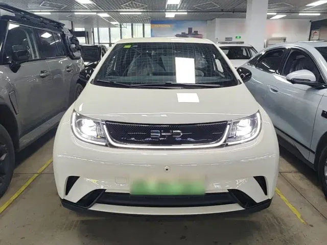 BYD Dolphin — Фото автомобиля 2