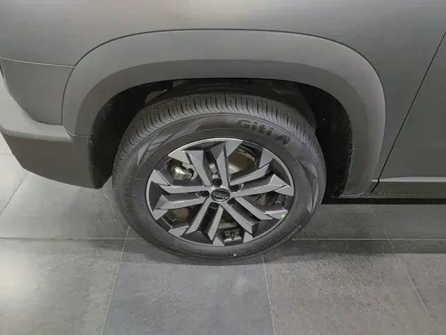 Haval Big Dog — Фото автомобиля 22