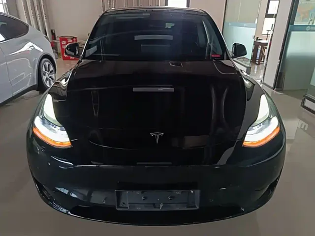 Tesla Model Y — Фото автомобиля 2