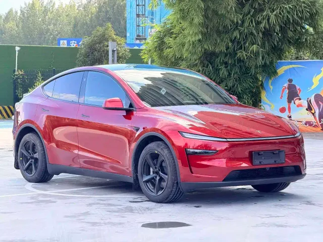 Tesla Model Y — Фото автомобиля 3
