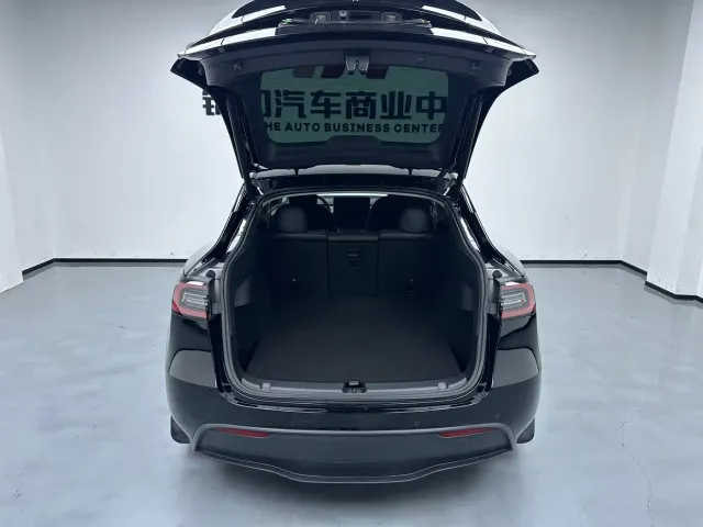 Tesla Model Y — Фото автомобиля 10
