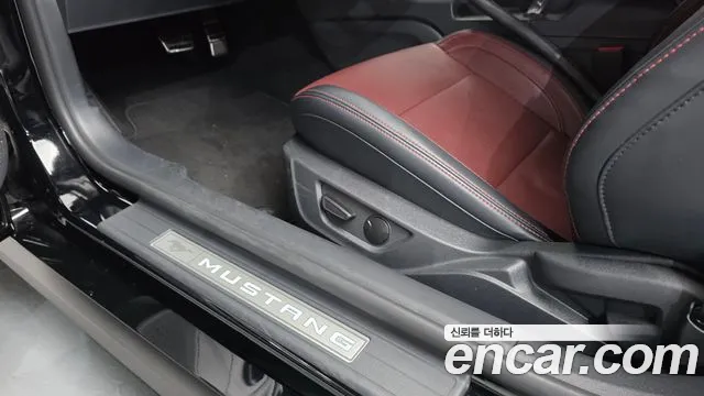 Ford Mustang — Фото автомобиля 19