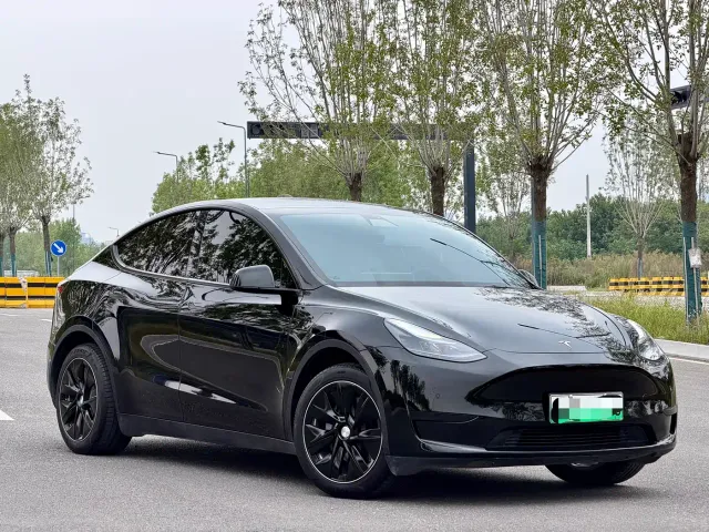 Tesla Model Y — Фото автомобиля 3