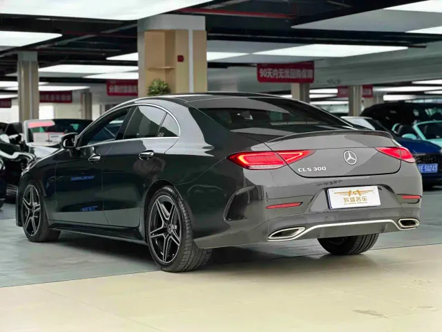 Mercedes-Benz CLS-Class — Фото автомобиля 8