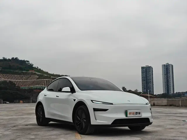 Tesla Model Y — Фото автомобиля 3