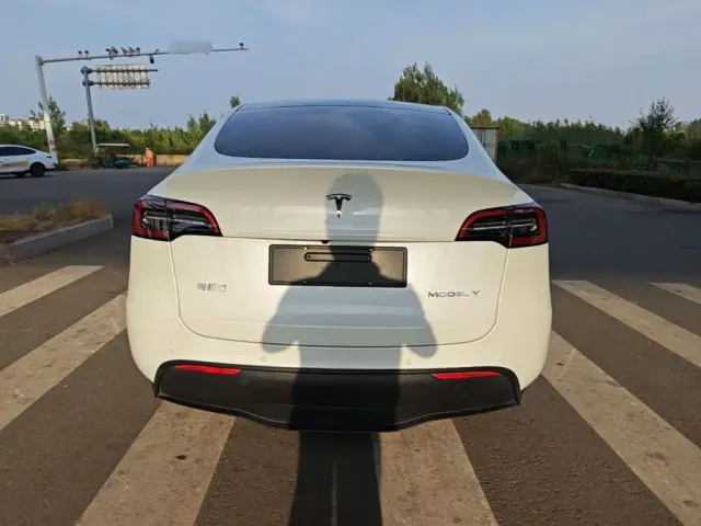 Tesla Model Y — Фото автомобиля 5