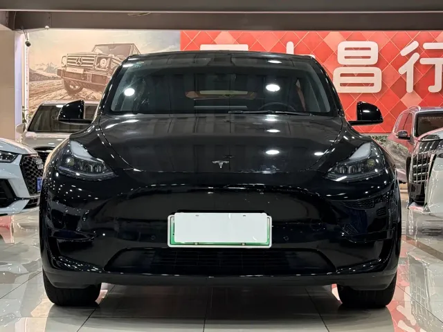 Tesla Model Y — Фото автомобиля 2
