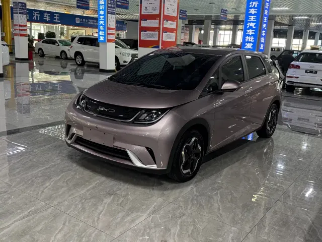 Фотография автомобиля — BYD Dolphin