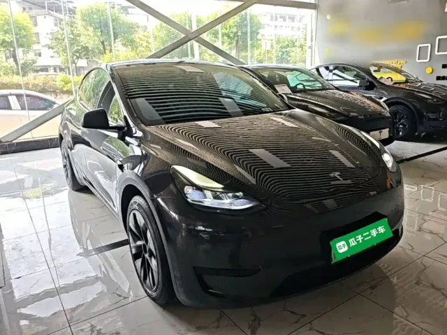Tesla Model Y — Фото автомобиля 3