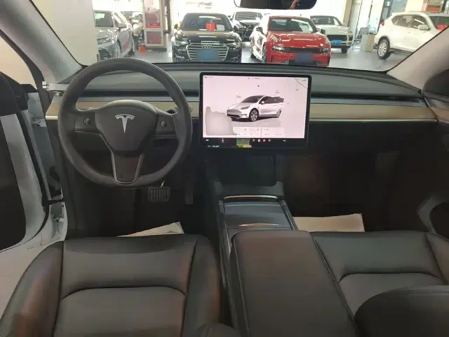 Tesla Model Y — Фото автомобиля 9