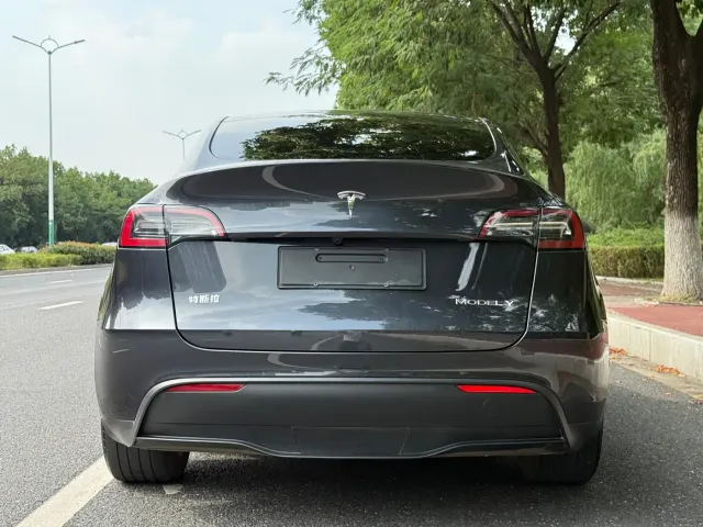 Tesla Model Y — Фото автомобиля 4
