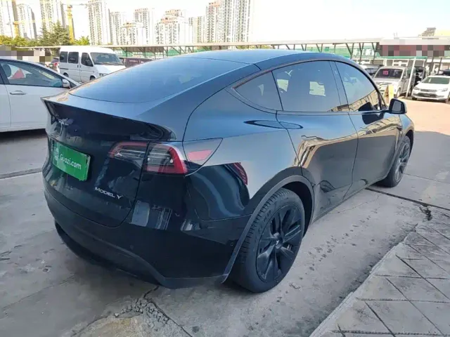 Tesla Model Y — Фото автомобиля 6