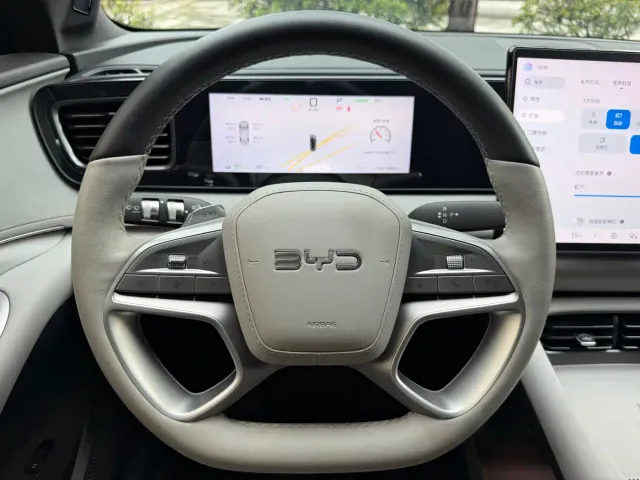 BYD Sealion 06 — Фото автомобиля 8