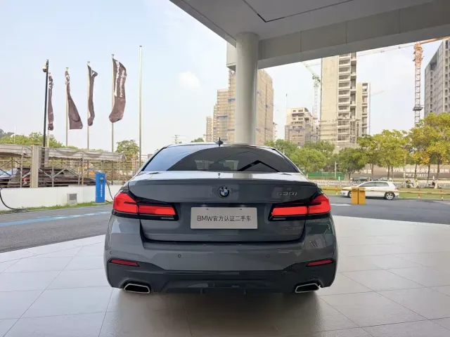 BMW 5 Series — Фото автомобиля 6