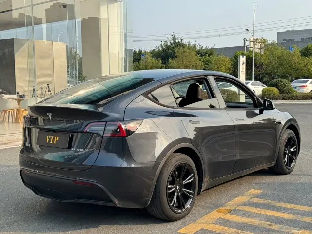 Tesla Model Y — Фото автомобиля 4
