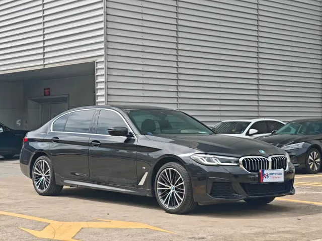 BMW 5 Series — Фото автомобиля 13