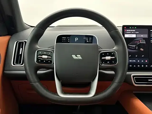 Li Auto L9 — Фото автомобиля 11