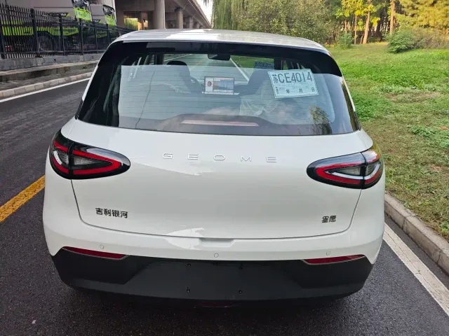 Geely Starry Wish — Фото автомобиля 9