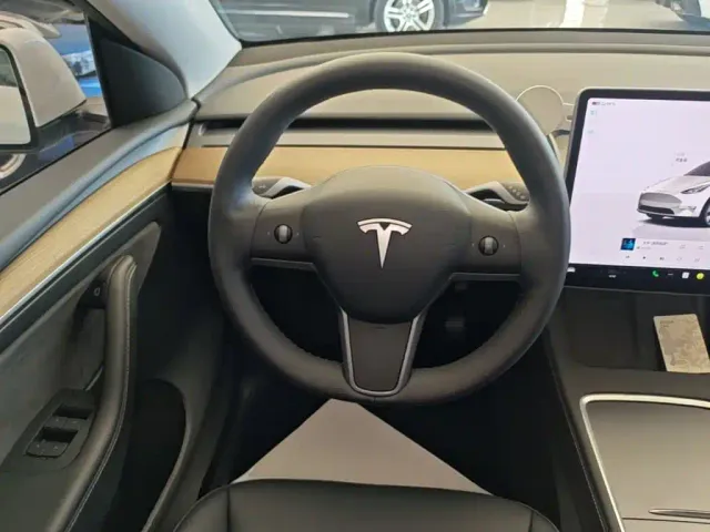 Tesla Model Y — Фото автомобиля 10
