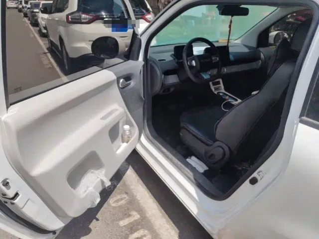 Changan Qiyuan Changan Lumin 2023 Model 205km Fragrant Edition — Фото автомобиля 12