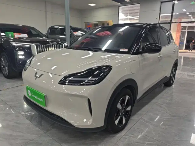 Фотография автомобиля — Wuling Binguo PLUS
