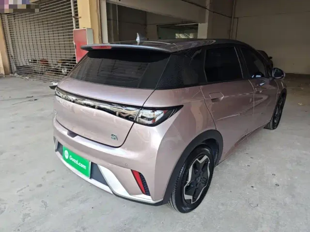 BYD Dolphin — Фото автомобиля 6