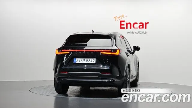 Lexus NX 2nd Gen — Фото автомобиля 4
