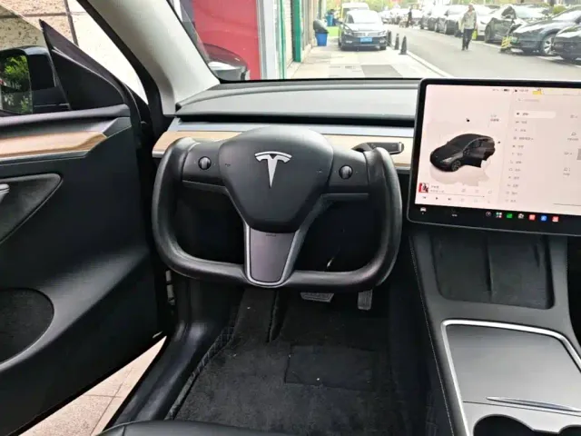 Tesla Model Y — Фото автомобиля 10