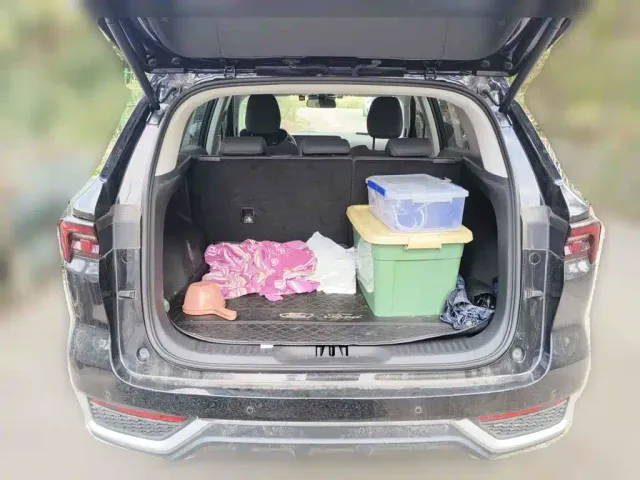 Ford Lingrui — Фото автомобиля 5