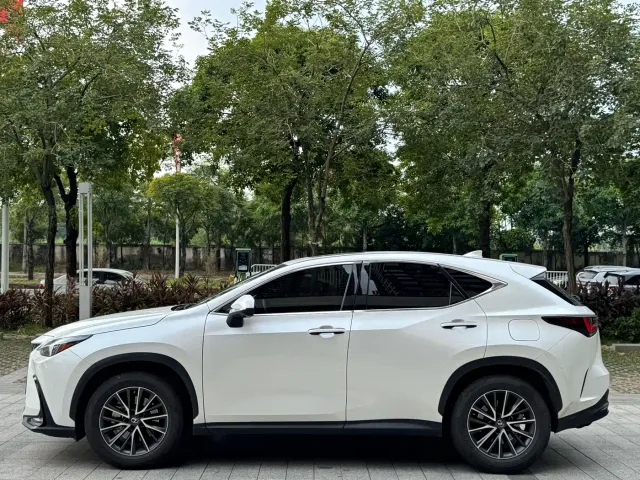 Lexus NX — Фото автомобиля 12