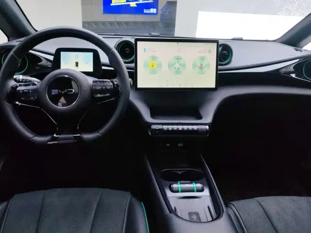BYD Dolphin — Фото автомобиля 12