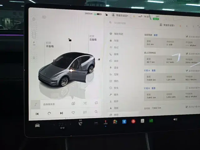 Tesla Model Y — Фото автомобиля 12