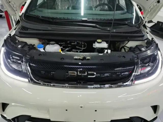 BYD Dolphin — Фото автомобиля 19