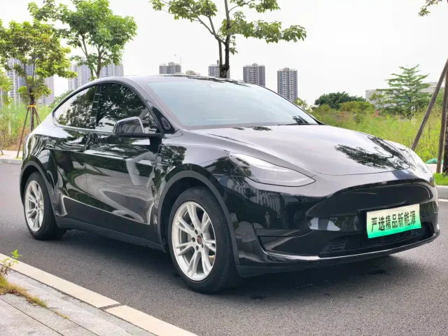 Tesla Model Y — Фото автомобиля 3