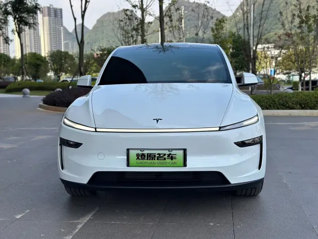 Tesla Model Y — Фото автомобиля 2