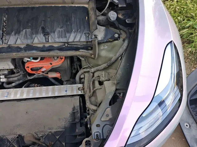 Tesla Model Y — Фото автомобиля 19