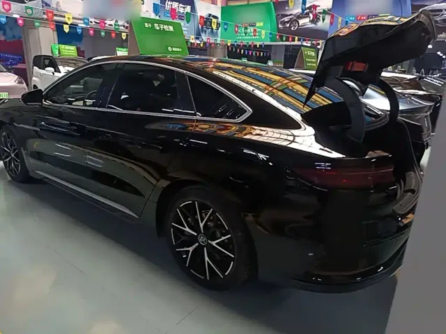 BYD Han — Фото автомобиля 4