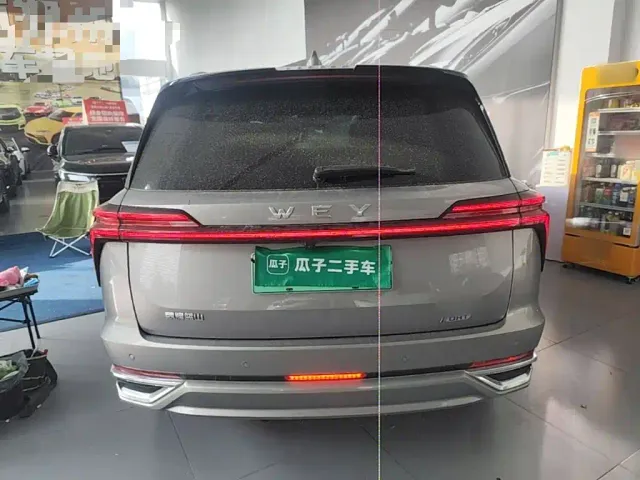 Wey Lanshan — Фото автомобиля 5