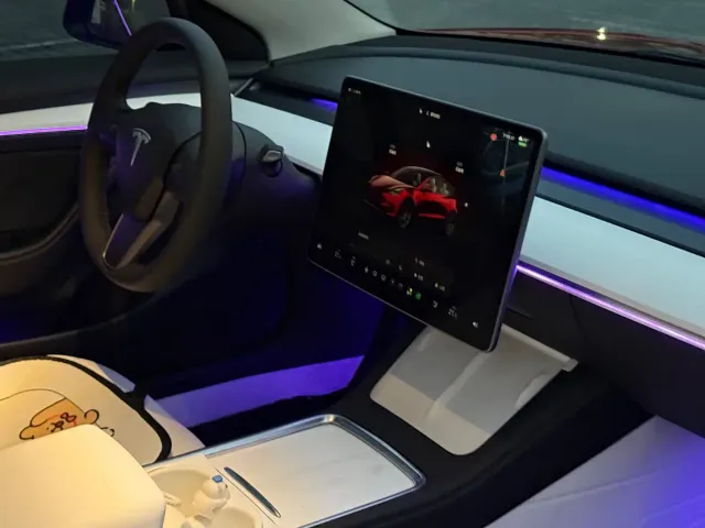 Tesla Model 3 — Фото автомобиля 16