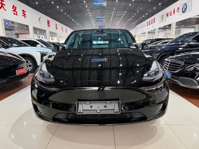 Tesla Model Y — Фото автомобиля 2